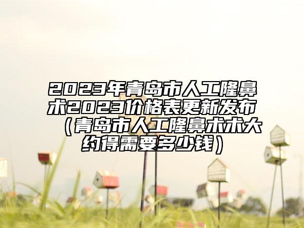 2023年青島市人工隆鼻術(shù)2023價格表更新發(fā)布（青島市人工隆鼻術(shù)術(shù)大約得需要多少錢）