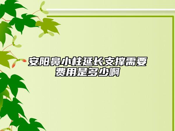 安陽鼻小柱延長(zhǎng)支撐需要費(fèi)用是多少啊