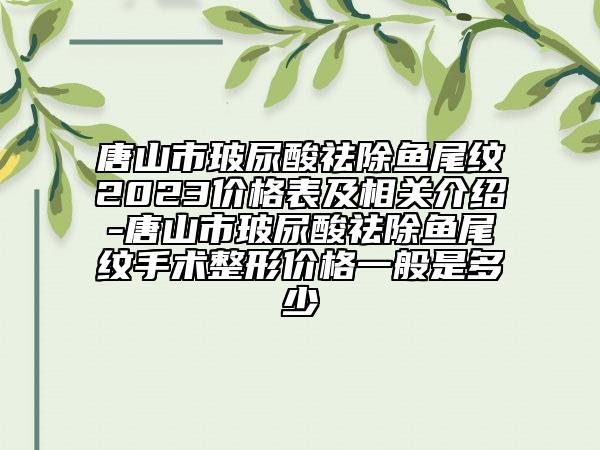 唐山市玻尿酸祛除魚(yú)尾紋2023價(jià)格表及相關(guān)介紹-唐山市玻尿酸祛除魚(yú)尾紋手術(shù)整形價(jià)格一般是多少