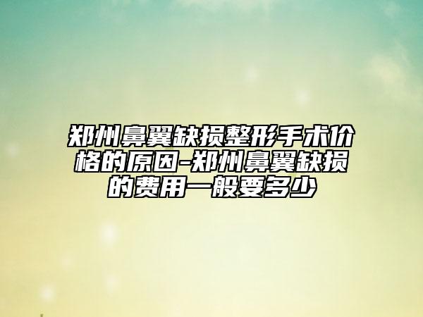 鄭州鼻翼缺損整形手術(shù)價(jià)格的原因-鄭州鼻翼缺損的費(fèi)用一般要多少