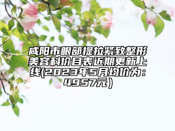 咸陽市眼部提拉緊致整形美容科價(jià)目表近期更新上線(2023年5月均價(jià)為：4957元）