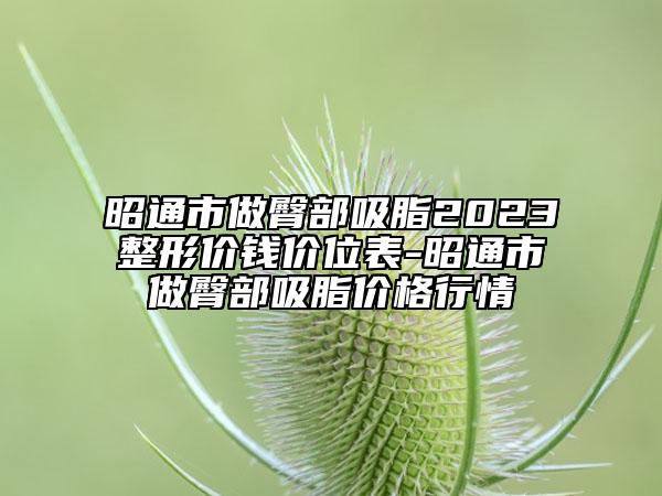 昭通市做臀部吸脂2023整形價(jià)錢價(jià)位表-昭通市做臀部吸脂價(jià)格行情
