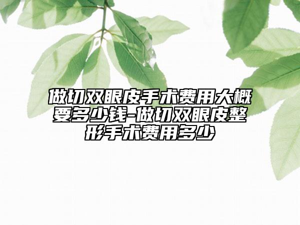 做切雙眼皮手術(shù)費(fèi)用大概要多少錢-做切雙眼皮整形手術(shù)費(fèi)用多少