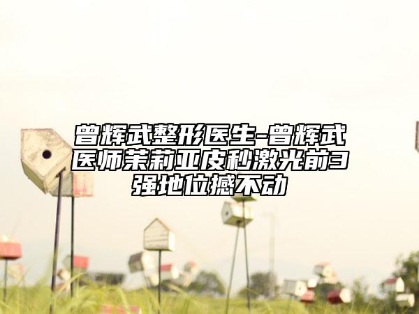 曾輝武整形醫(yī)生-曾輝武醫(yī)師茉莉亞皮秒激光前3強(qiáng)地位撼不動(dòng)