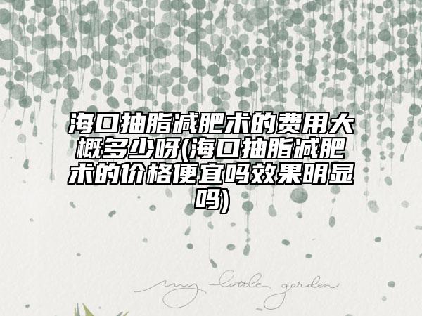 海口抽脂減肥術(shù)的費(fèi)用大概多少呀(?？诔橹瑴p肥術(shù)的價(jià)格便宜嗎效果明顯嗎)