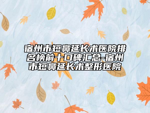 宿州市短鼻延長術(shù)醫(yī)院排名榜前十口碑匯總-宿州市短鼻延長術(shù)整形醫(yī)院