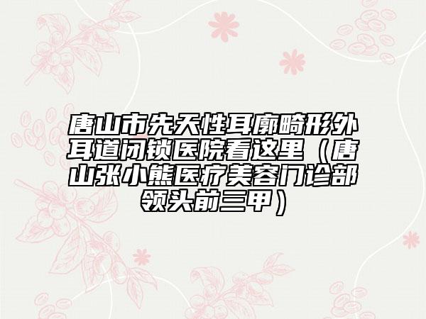 唐山市先天性耳廓畸形外耳道閉鎖醫(yī)院看這里（唐山張小熊醫(yī)療美容門診部領(lǐng)頭前三甲）