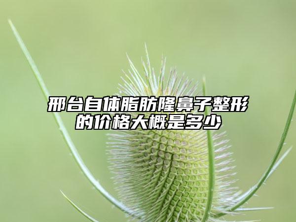 邢臺自體脂肪隆鼻子整形的價(jià)格大概是多少