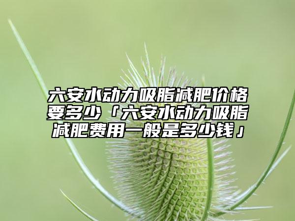 六安水動力吸脂減肥價格要多少「六安水動力吸脂減肥費(fèi)用一般是多少錢」