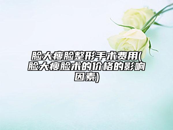 臉大瘦臉整形手術(shù)費(fèi)用(臉大瘦臉術(shù)的價(jià)格的影響因素)