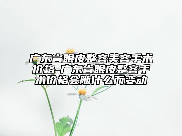 廣東省眼皮整容美容手術價格-廣東省眼皮整容手術價格會隨什么而變動