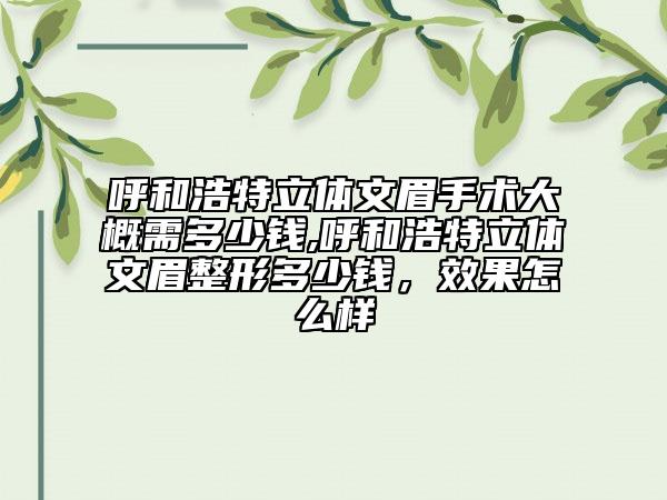 呼和浩特立體文眉手術(shù)大概需多少錢,呼和浩特立體文眉整形多少錢，效果怎么樣