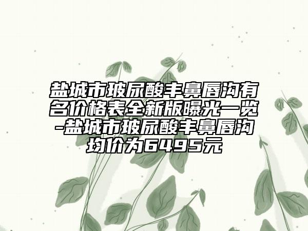 鹽城市玻尿酸豐鼻唇溝有名價(jià)格表全新版曝光一覽-鹽城市玻尿酸豐鼻唇溝均價(jià)為6495元