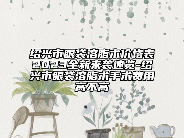 紹興市眼袋溶脂術價格表2023全新來襲速覽-紹興市眼袋溶脂術手術費用高不高