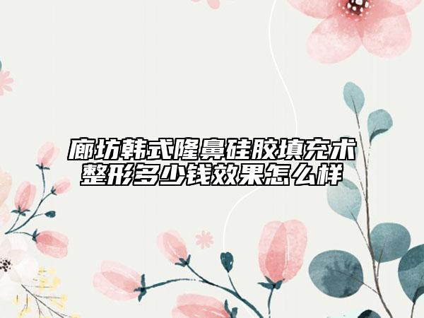 廊坊韓式隆鼻硅膠填充術整形多少錢效果怎么樣