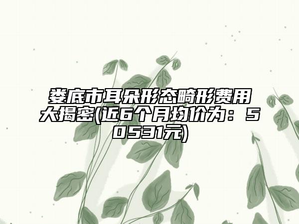 婁底市耳朵形態(tài)畸形費(fèi)用大揭密(近6個(gè)月均價(jià)為:50531元)