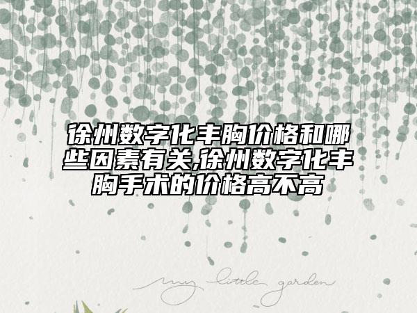徐州數(shù)字化豐胸價(jià)格和哪些因素有關(guān),徐州數(shù)字化豐胸手術(shù)的價(jià)格高不高