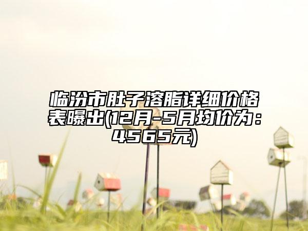 臨汾市肚子溶脂詳細(xì)價格表曝出(12月-5月均價為：4565元)