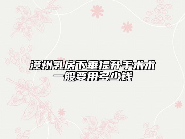 漳州乳房下垂提升手術(shù)術(shù)一般要用多少錢