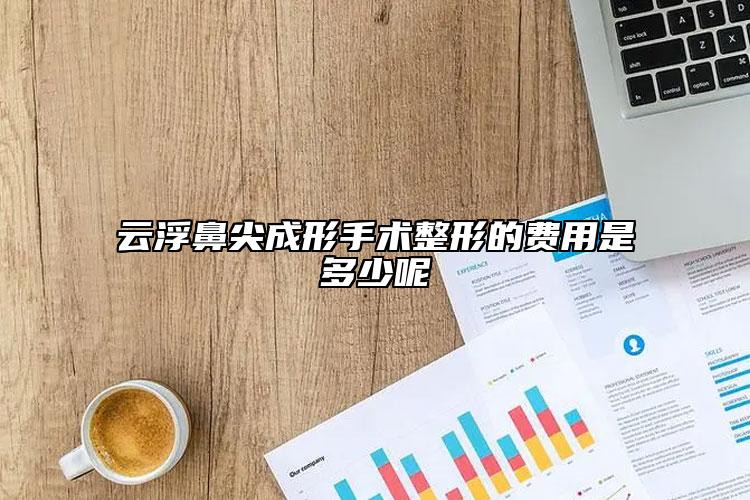 云浮鼻尖成形手術(shù)整形的費用是多少呢