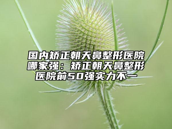 國內(nèi)矯正朝天鼻整形醫(yī)院哪家強(qiáng)：矯正朝天鼻整形醫(yī)院前50強(qiáng)實(shí)力不一