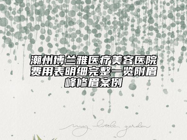 潮州博蘭雅醫(yī)療美容醫(yī)院費用表明細完整一覽附眉峰修眉案例