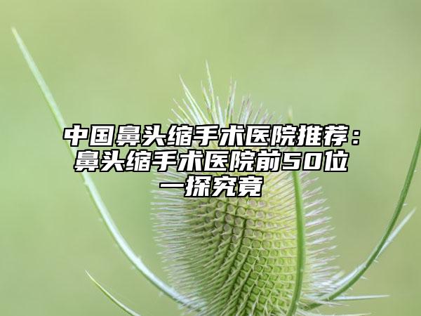 中國鼻頭縮手術(shù)醫(yī)院推薦：鼻頭縮手術(shù)醫(yī)院前50位一探究竟