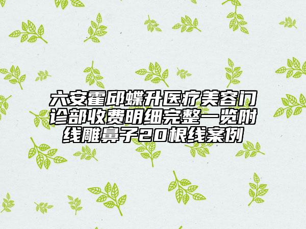 六安霍邱蝶升醫(yī)療美容門診部收費(fèi)明細(xì)完整一覽附線雕鼻子20根線案例