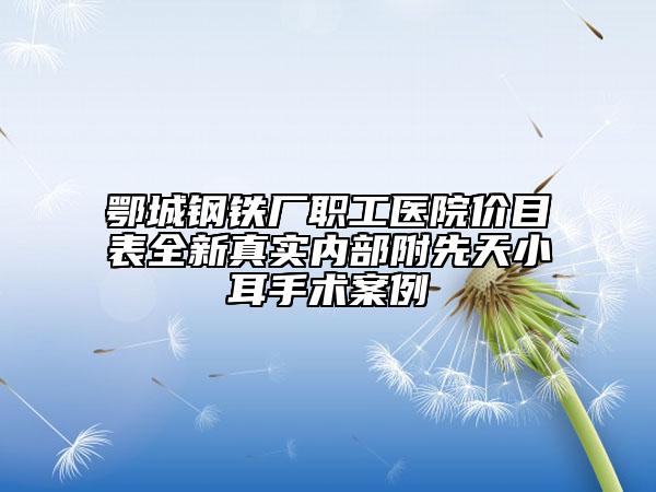 鄂城鋼鐵廠職工醫(yī)院價(jià)目表全新真實(shí)內(nèi)部附先天小耳手術(shù)案例