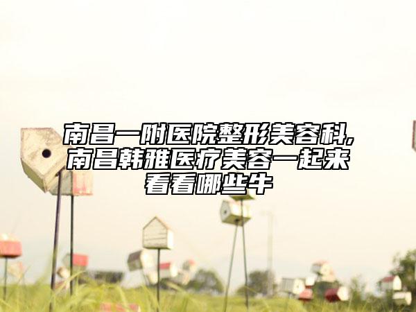 南昌一附醫(yī)院整形美容科,南昌韓雅醫(yī)療美容一起來看看哪些牛