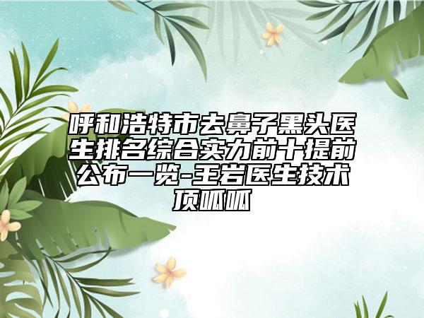 呼和浩特市去鼻子黑頭醫(yī)生排名綜合實力前十提前公布一覽-王巖醫(yī)生技術(shù)頂呱呱