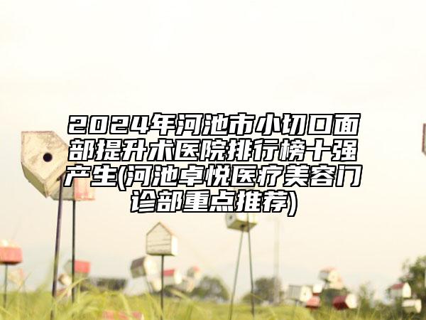 2024年河池市小切口面部提升術(shù)醫(yī)院排行榜十強(qiáng)產(chǎn)生(河池卓悅醫(yī)療美容門診部重點(diǎn)推薦)