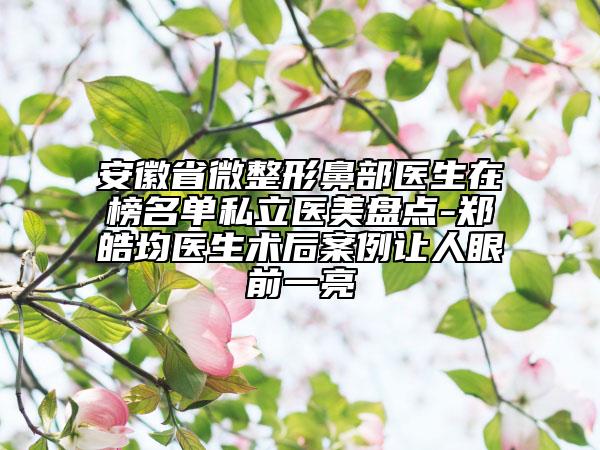 安徽省微整形鼻部醫(yī)生在榜名單私立醫(yī)美盤點-鄭皓均醫(yī)生術后案例讓人眼前一亮