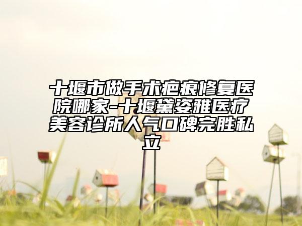 十堰市做手術(shù)疤痕修復(fù)醫(yī)院哪家-十堰黛姿雅醫(yī)療美容診所人氣口碑完勝私立