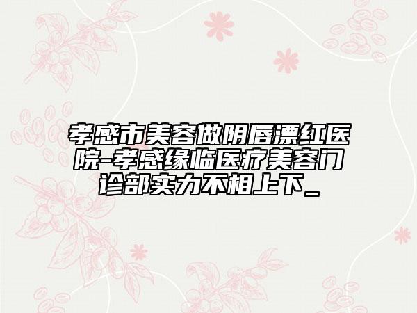 孝感市美容做陰唇漂紅醫(yī)院-孝感緣臨醫(yī)療美容門診部實(shí)力不相上下_