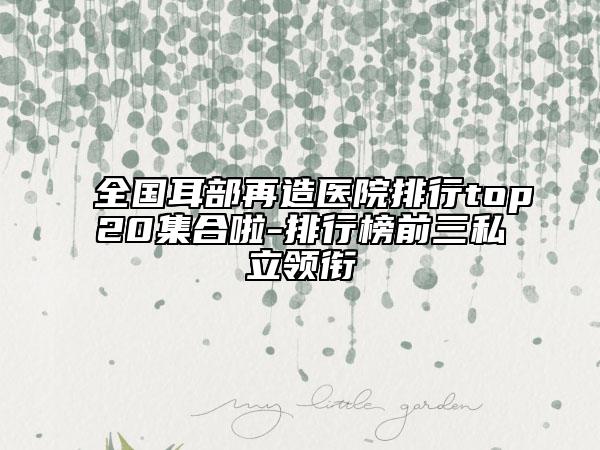 全國(guó)耳部再造醫(yī)院排行top20集合啦-排行榜前三私立領(lǐng)銜