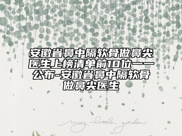 安徽省鼻中隔軟骨做鼻尖醫(yī)生上榜清單前10位一一公布-安徽省鼻中隔軟骨做鼻尖醫(yī)生