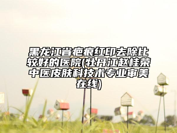 黑龍江省疤痕紅印去除比較好的醫(yī)院(牡丹江趙桂榮中醫(yī)皮膚科技術(shù)專業(yè)審美在線)