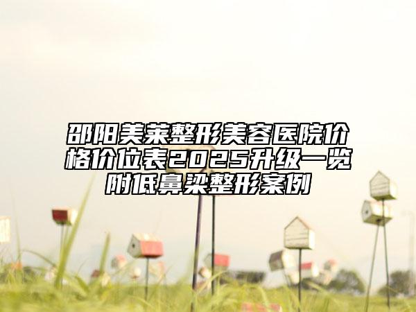 邵陽美萊整形美容醫(yī)院價格價位表2025升級一覽附低鼻梁整形案例