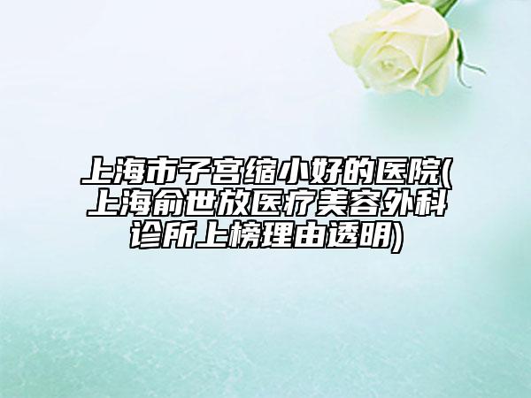 上海市子宮縮小好的醫(yī)院(上海俞世放醫(yī)療美容外科診所上榜理由透明)