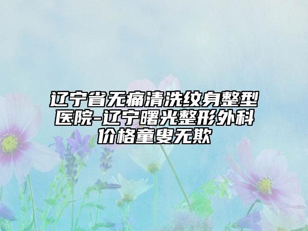 遼寧省無痛清洗紋身整型醫(yī)院-遼寧曙光整形外科價格童叟無欺
