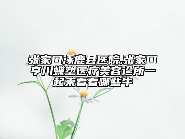 張家口涿鹿縣醫(yī)院,張家口亨川蝶塑醫(yī)療美容診所一起來看看哪些牛