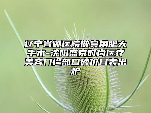 遼寧省哪醫(yī)院做鼻角肥大手術(shù)-沈陽盛京時(shí)尚醫(yī)療美容門診部口碑價(jià)目表出爐