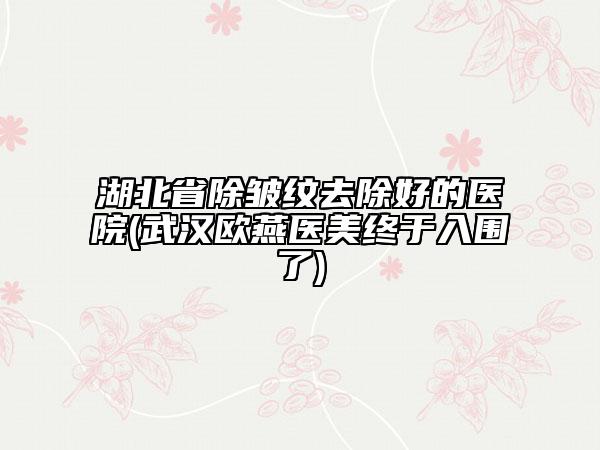 湖北省除皺紋去除好的醫(yī)院(武漢歐燕醫(yī)美終于入圍了)