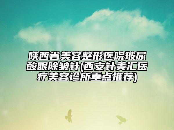 陜西省美容整形醫(yī)院玻尿酸眼除皺針(西安針美匯醫(yī)療美容診所重點推薦)
