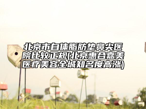 北京市自體脂肪墊鼻尖醫(yī)院比較正規(guī)(北京惠合嘉美醫(yī)療美容全城知名度高漲)