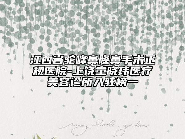 江西省駝峰鼻隆鼻手術(shù)正規(guī)醫(yī)院-上饒童曉瑋醫(yī)療美容診所入駐榜一