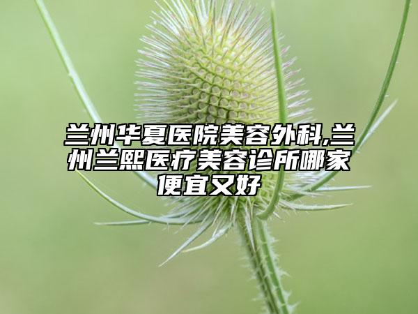 蘭州華夏醫(yī)院美容外科,蘭州蘭熙醫(yī)療美容診所哪家便宜又好