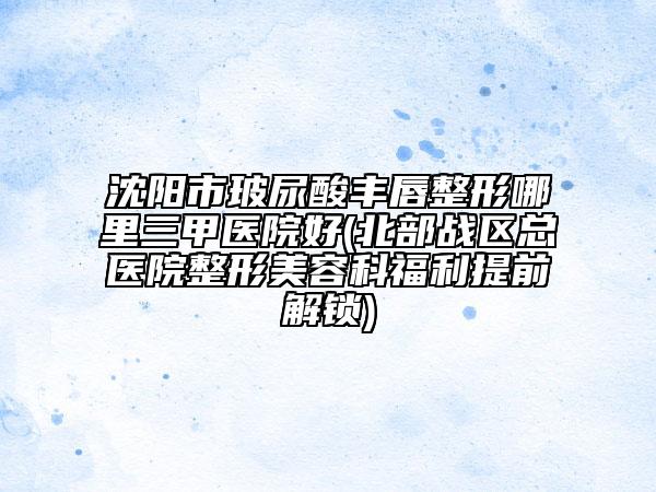 沈陽(yáng)市玻尿酸豐唇整形哪里三甲醫(yī)院好(北部戰(zhàn)區(qū)總醫(yī)院整形美容科福利提前解鎖)