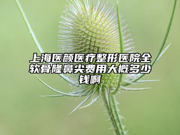 上海醫(yī)顏醫(yī)療整形醫(yī)院全軟骨隆鼻尖費用大概多少錢啊